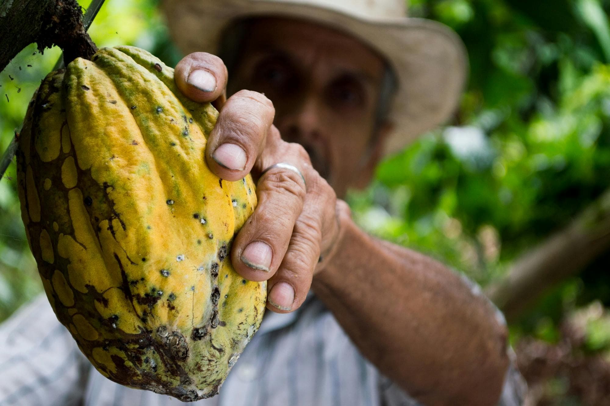 Sustainable farming practices